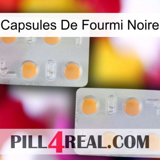 Black Ant Capsules 25